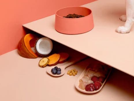 Curated for Every Pet